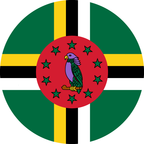 Program Badge